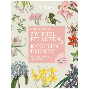 Wilford, Richard: Zwiebelpflanzen & Knollenblumen