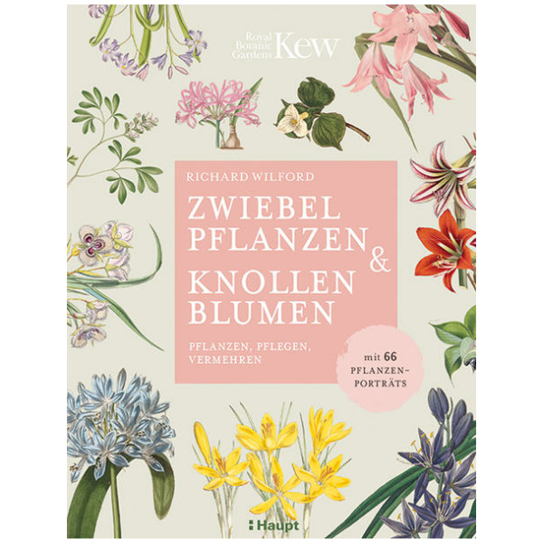 Wilford, Richard: Zwiebelpflanzen & Knollenblumen