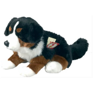 Teddy Hermann Berner Sennenhund sitzend, ca. 29 cm