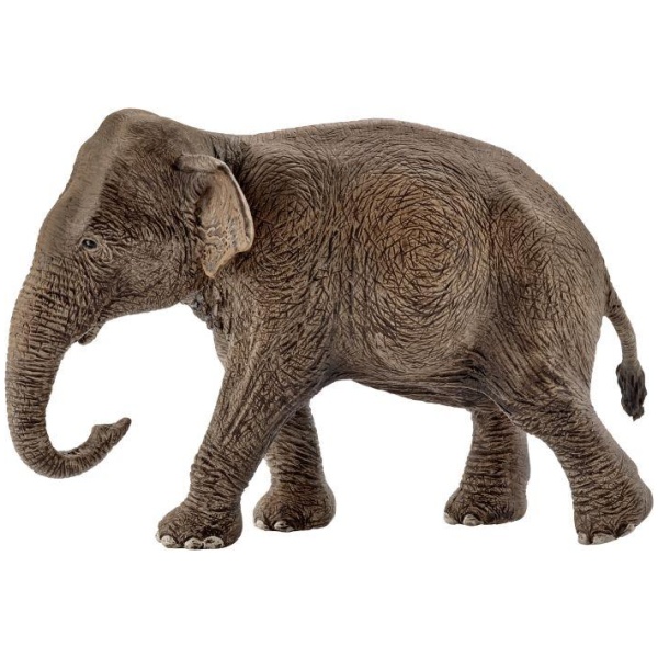 schleich® Wild Life - 14753 Asiatische Elefantenkuh, ab 3 Jahre