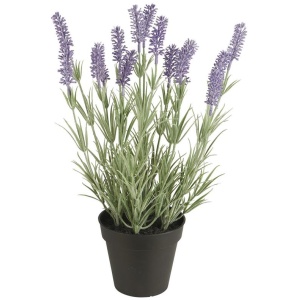 IB Laursen Lavendel in Topf unecht 40 cm hoch