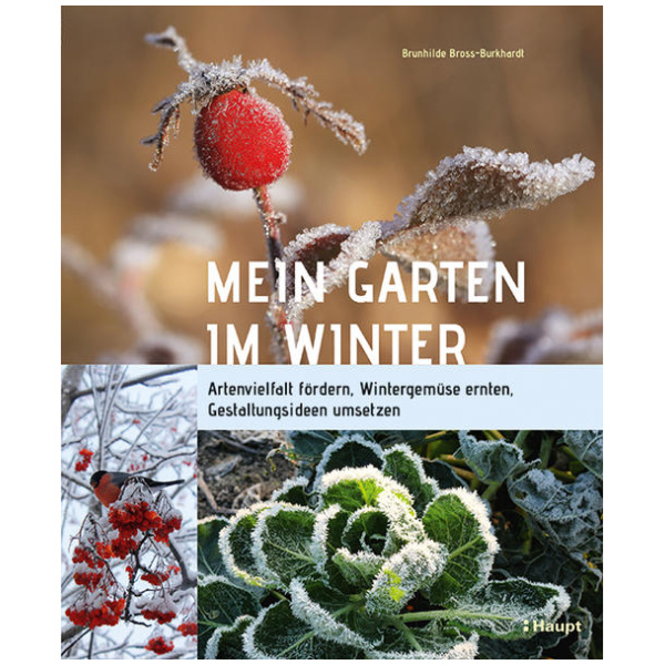 Bross-Burkhardt, Brunhilde: Mein Garten im Winter