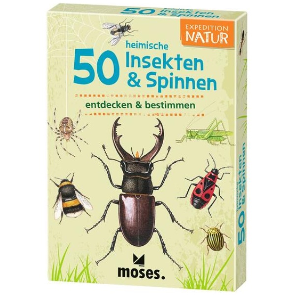 von Kessel, Carola: Expedition Natur 50 heimische Insekten & Spinnen