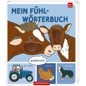 Mein Fühl-Wörterbuch